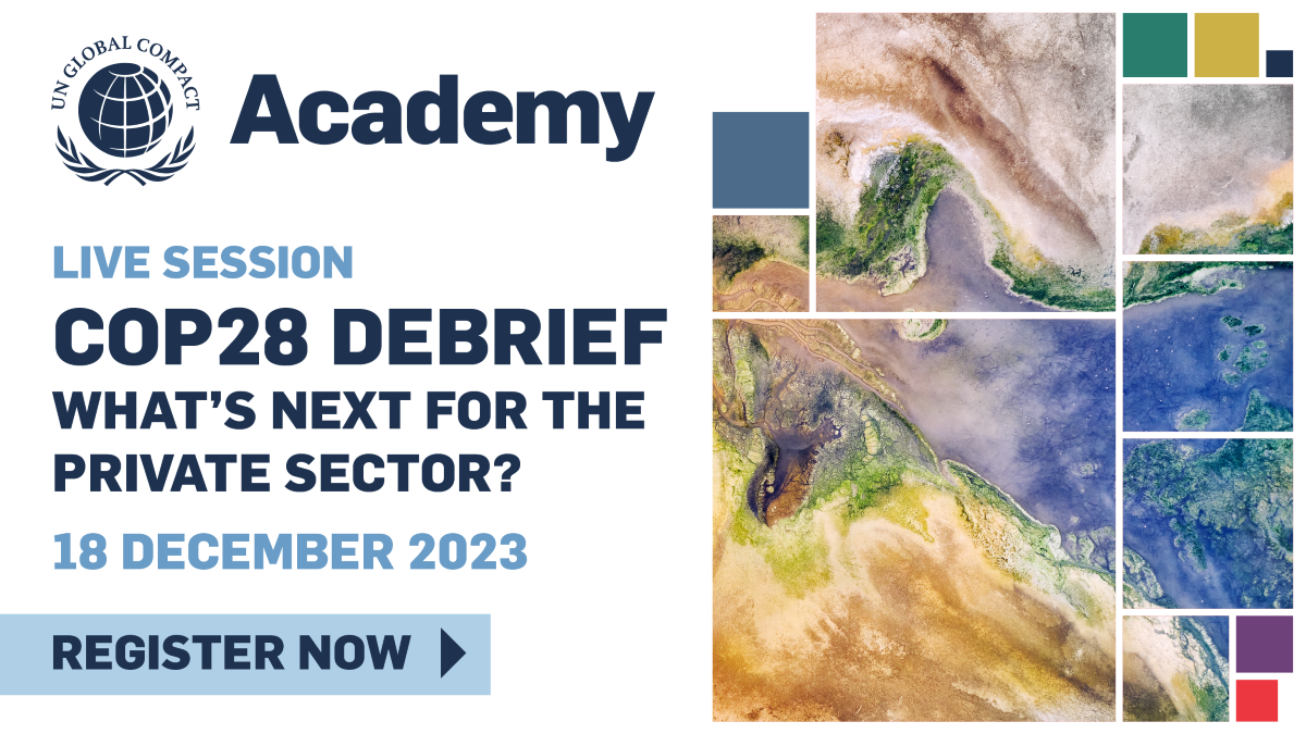 Join this session to hear from senior advisers from across the UN Secretary-General’s Climate Action team who will provide context and nuance to the main headlines from COP28 and share priorities for corporate action to drive progress in 2024.