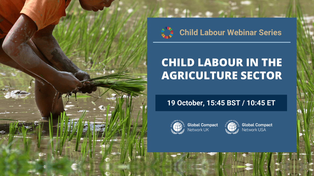 UN Global Compact Networks of the UK and US are organizing a webinar series on child labour in supply chains.