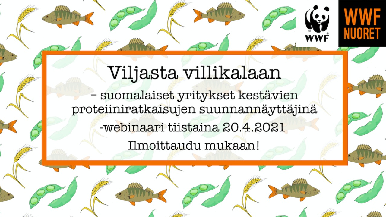 WWF Nuoret järjestävät webinaarin vastuullisesta ruuankulutuksesta ja -tuotannosta.