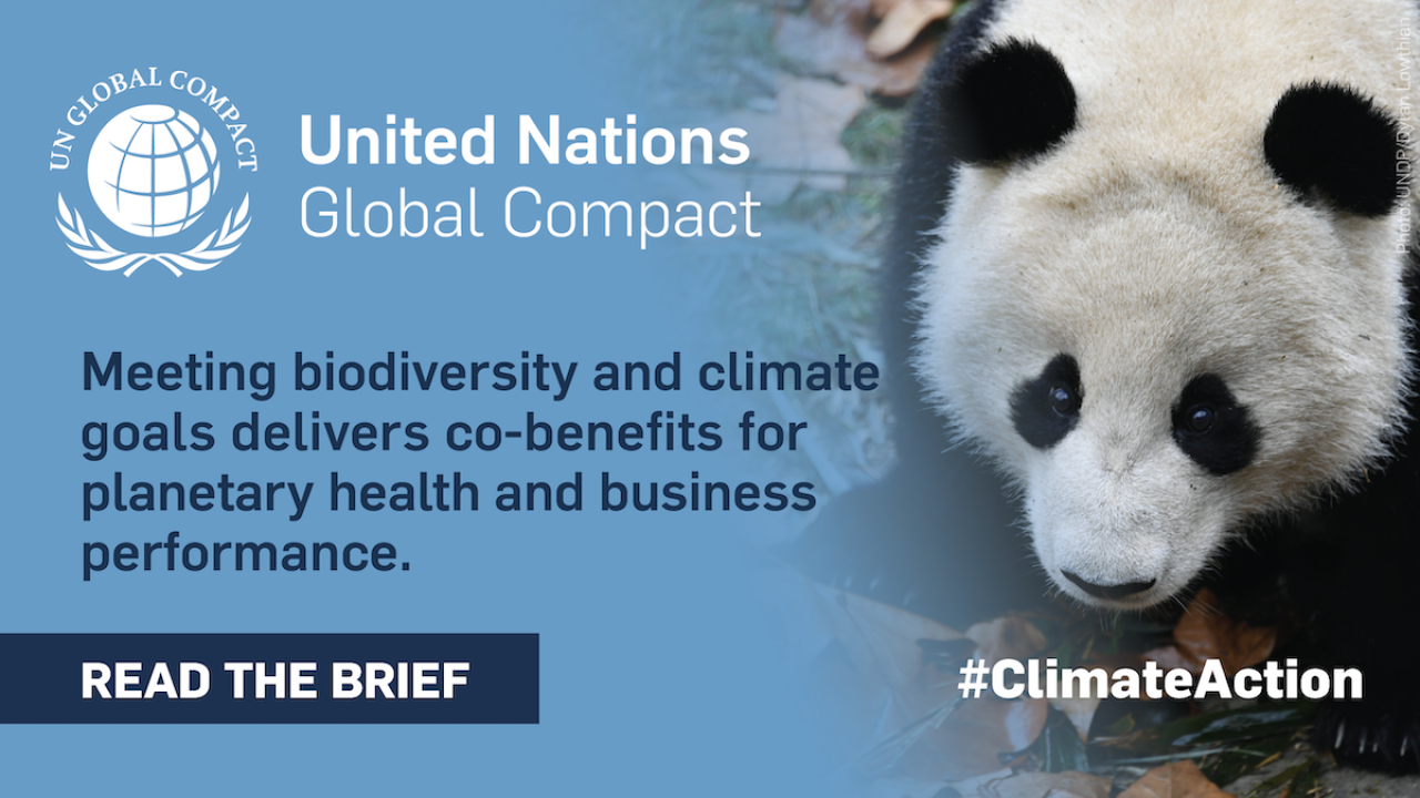 YK:n Global Compact on julkaissut uuden oppaan yrityksille, jossa käsitellään ilmastonmuutoksen ja terveyden yhteyttä. Ilmastonmuutos, luonnon monimuotoisuus ja ihmisten hyvinvointi kytkeytyvät toisiinsa, ja koronapandemia on siitä ajankohtainen esimerkki. Ilmastonmuutoksen torjunta onkin vuosisadan suurin mahdollisuus globaalin terveyden edistämiseen. 