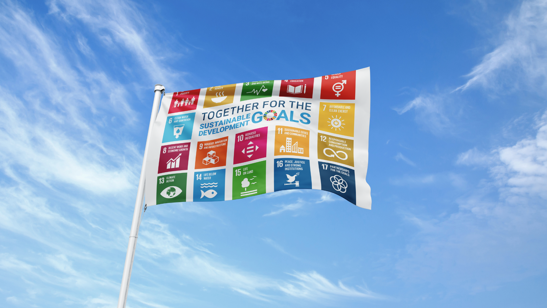 sdg flag day