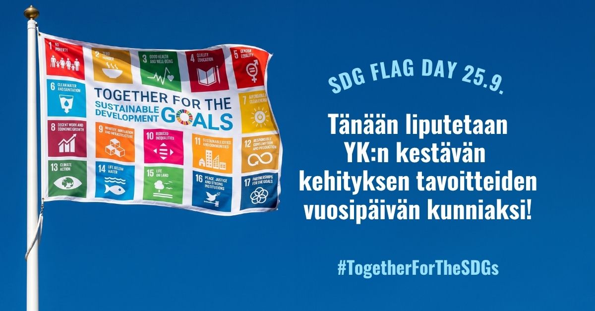 sdg flagday linkedin vaaka 02