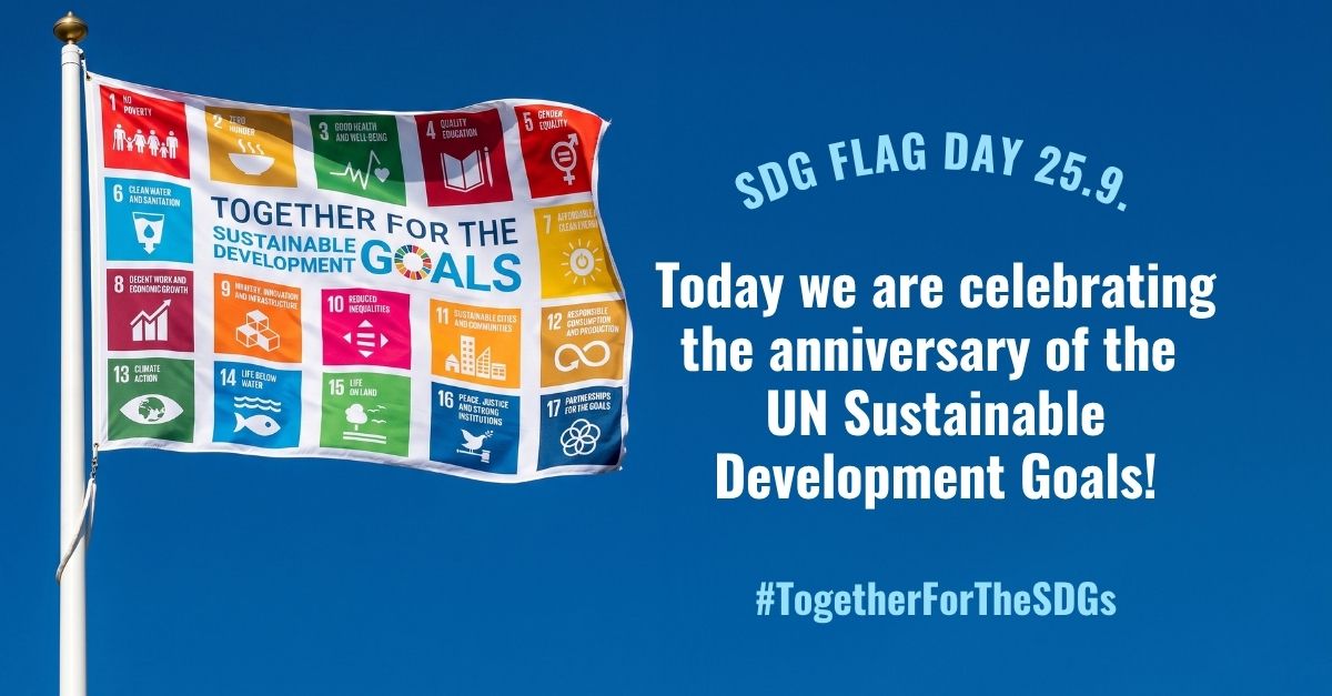 sdg flagday linkedin vaaka 02