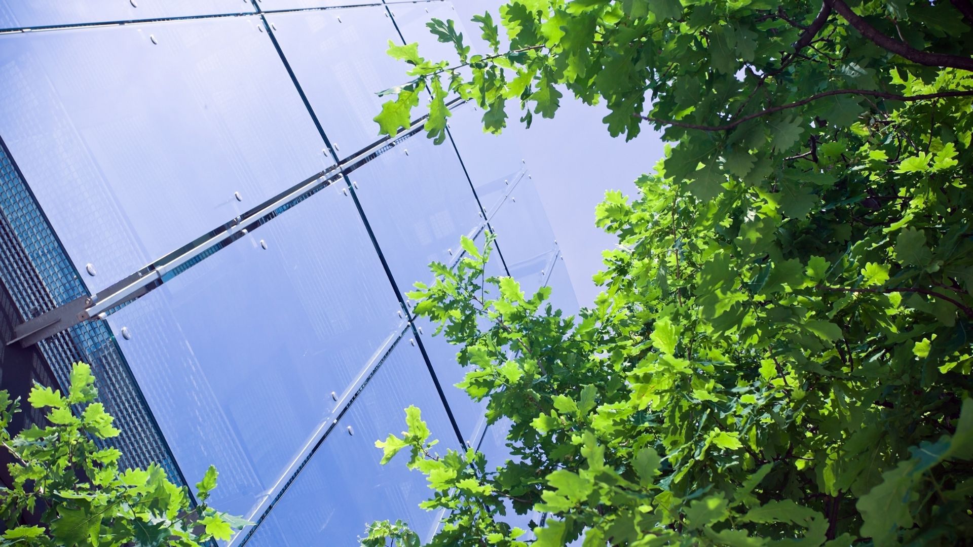Corporate building with greenery in the foreground