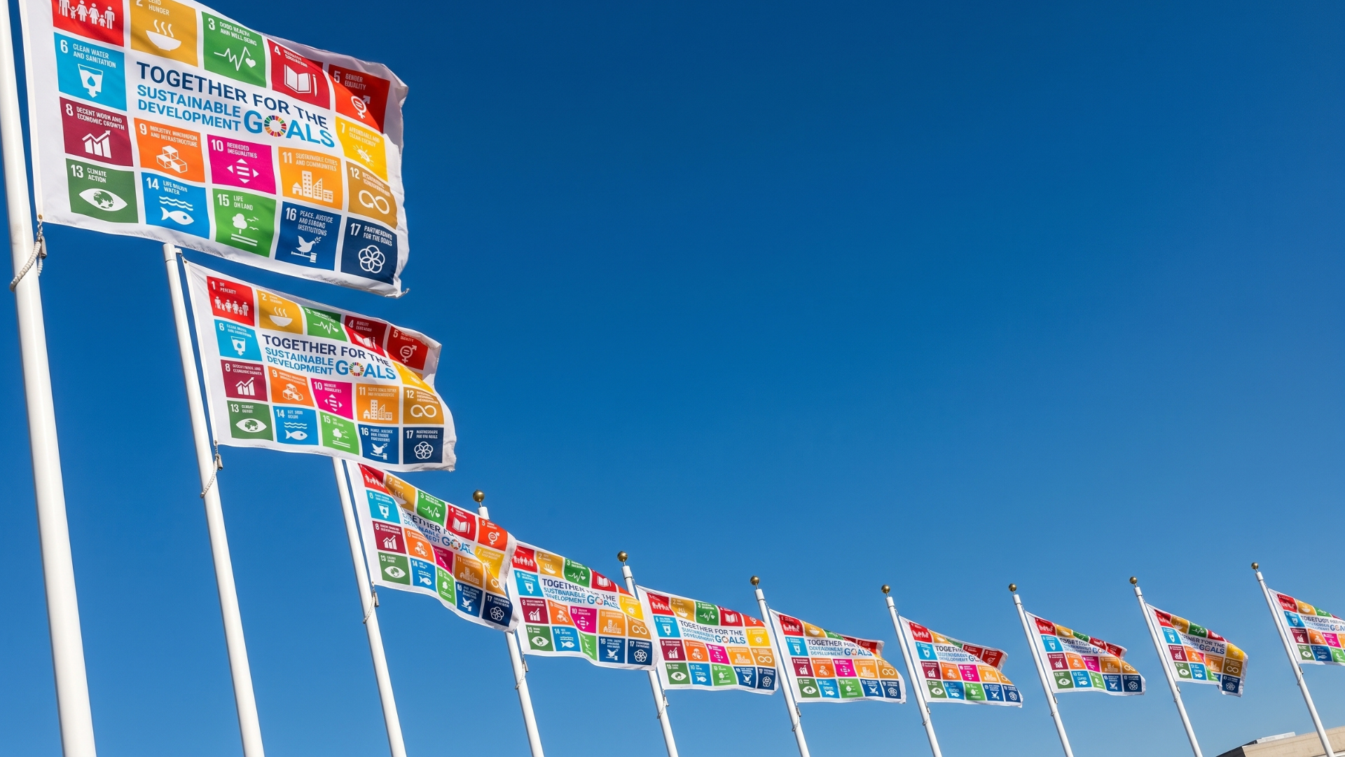 SDG Flag Day
