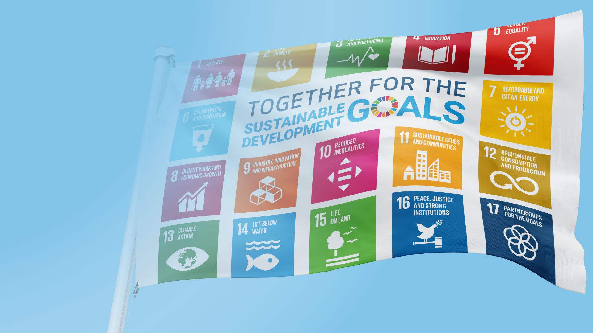 SDG Flag Day